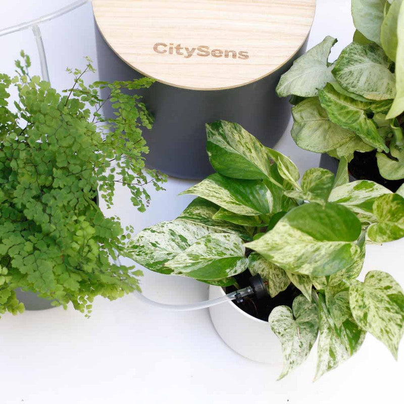 Kit De Riego Por Goteo Citysens Con Depósito Antracita Y 12 Goteros_1