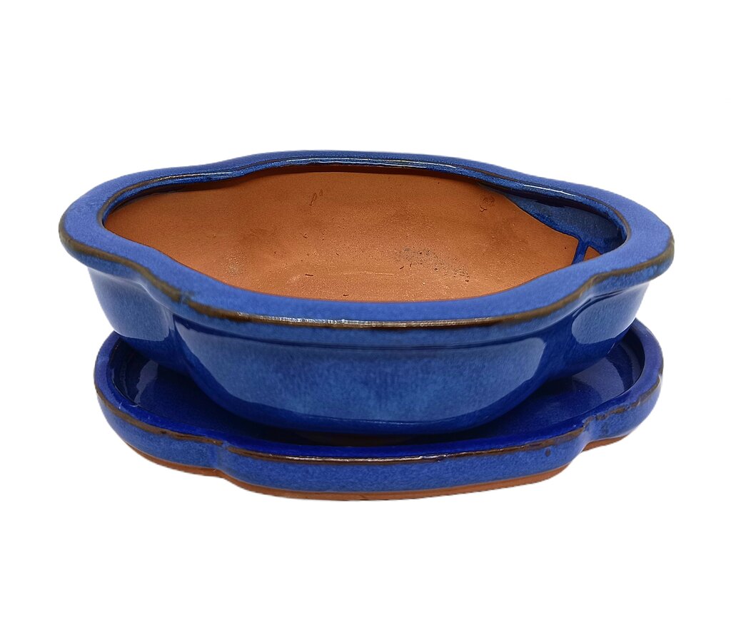 Tiesto Olea Azul 26x22x7cm