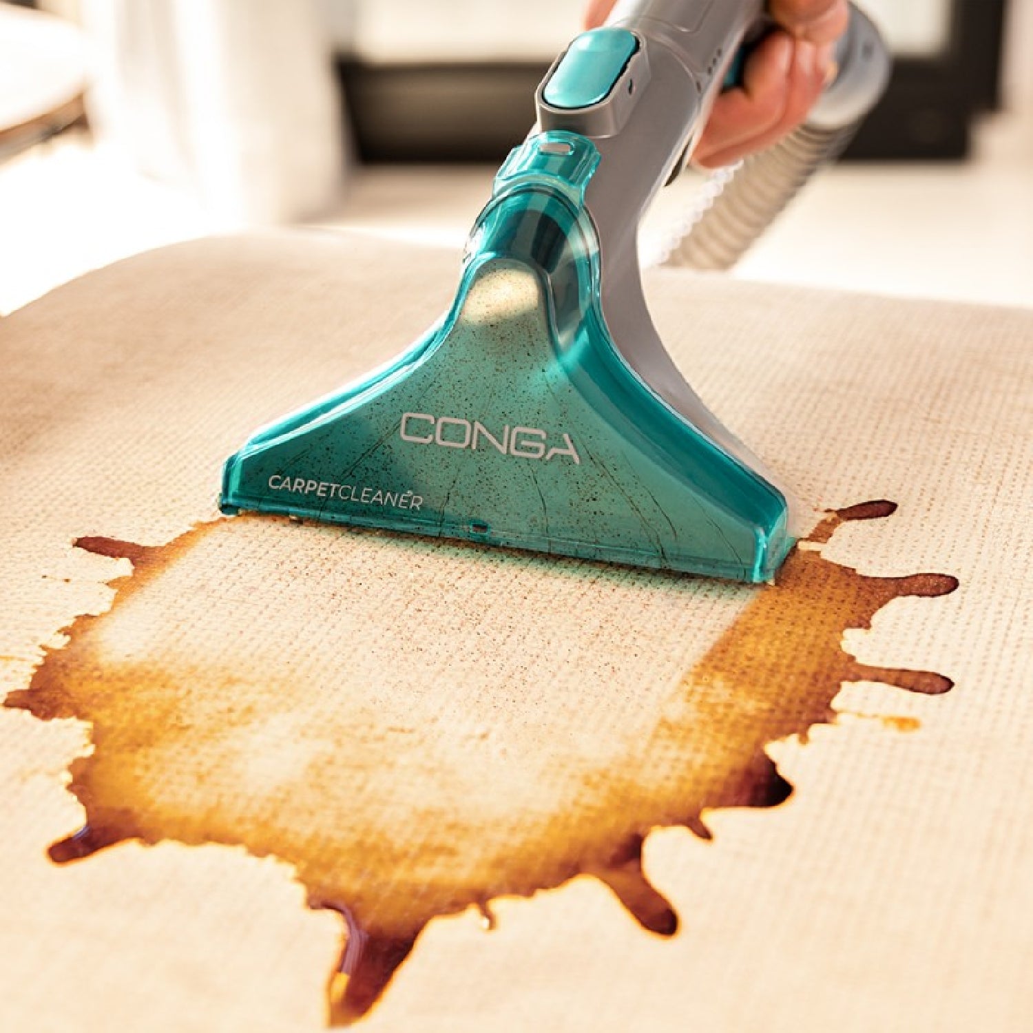 Cecotec Aspirador Trineo Wet&dry Conga Carpetclean 10000 Easyhome Cecotec_2