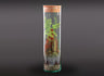 Nanogarden Terrario Tube Asparragus 30x8cm