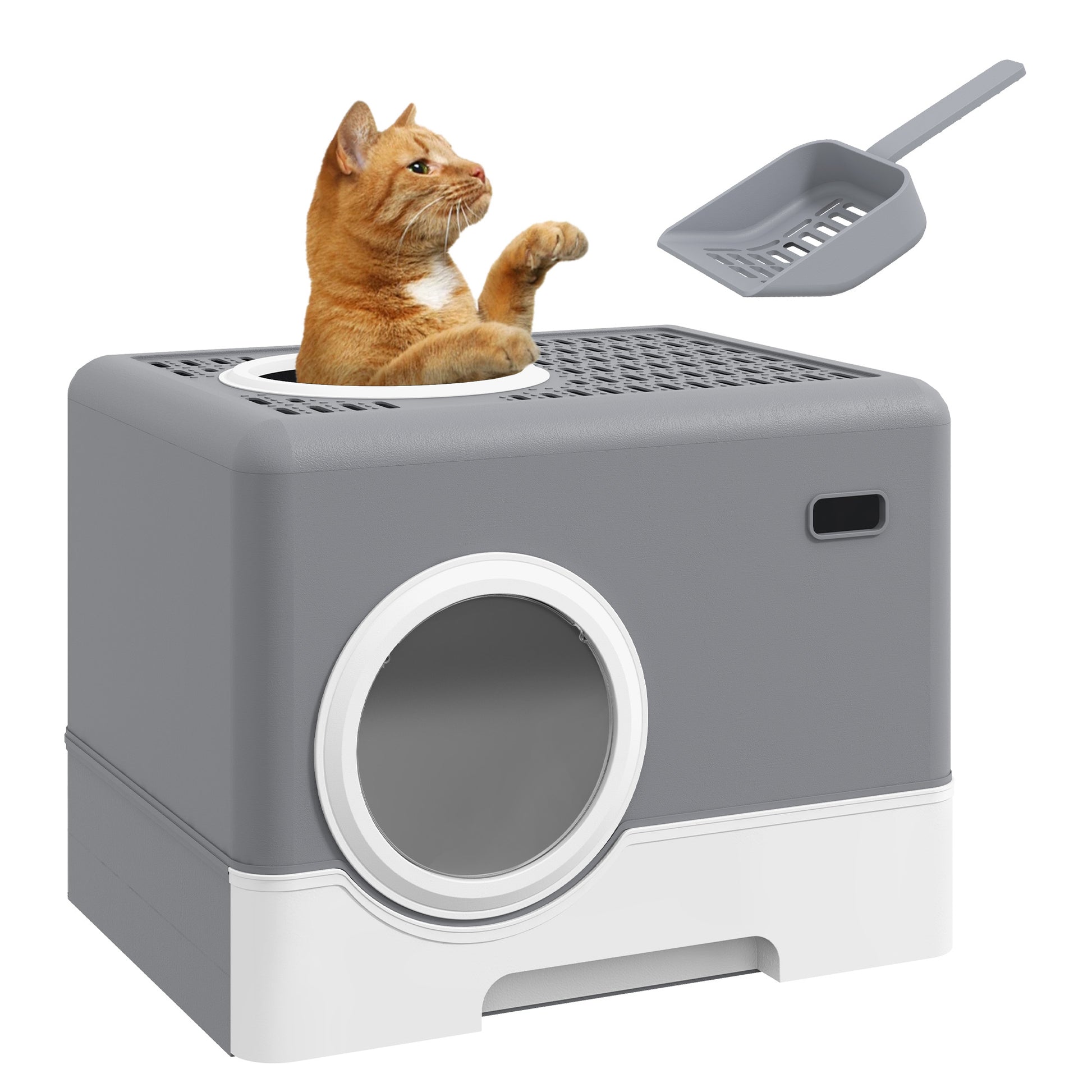 Pawhut Arenero Para Gatos Cubierto_0