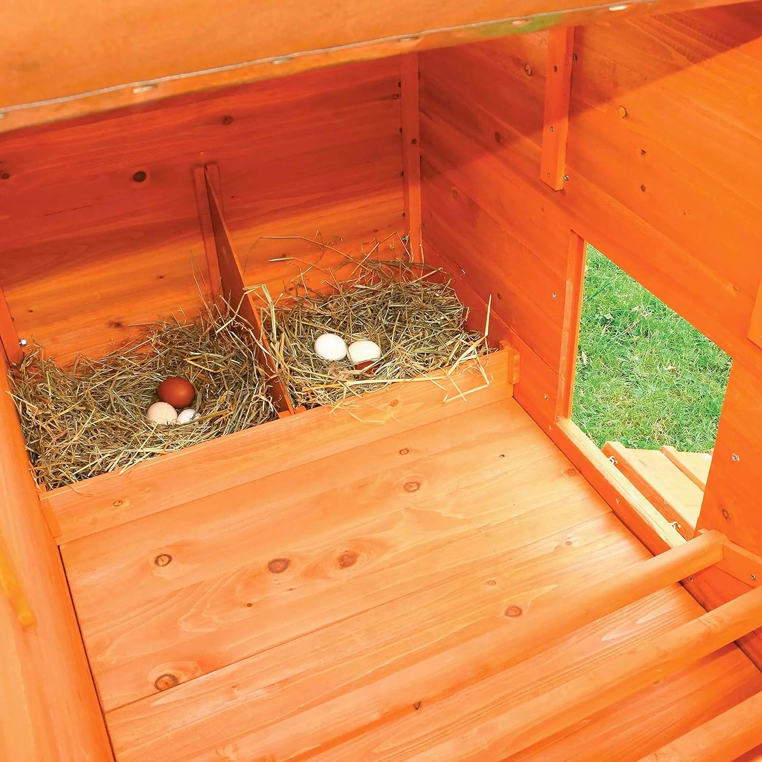 Gallinero De Madera Modelo Ottawa Para 5-7 Gallinas - Incluye Ponederos / Nidos_3