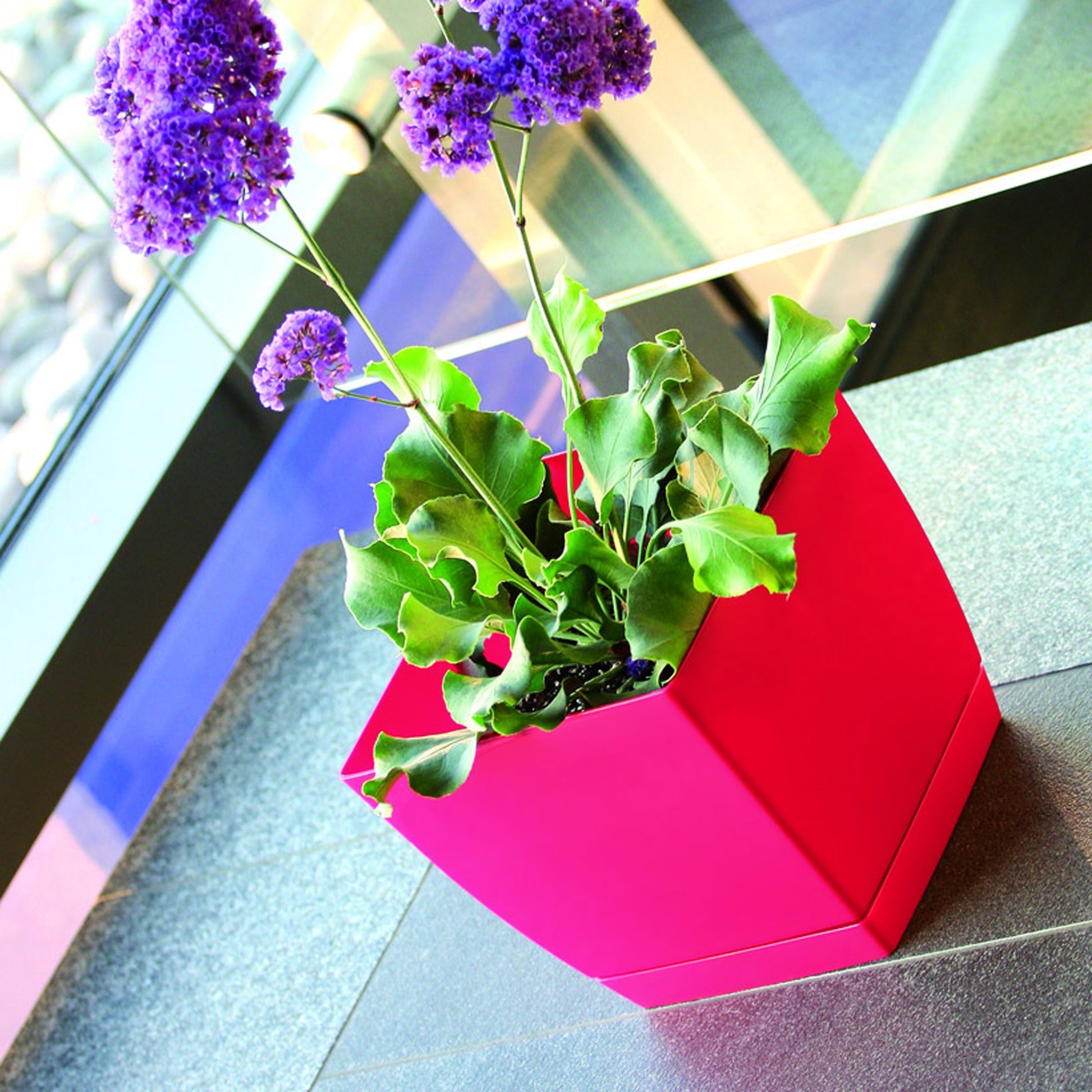 Maceta Mod. Begonya Fresh Quadro Con Plato Incluido 13,5cm. Blanco_5