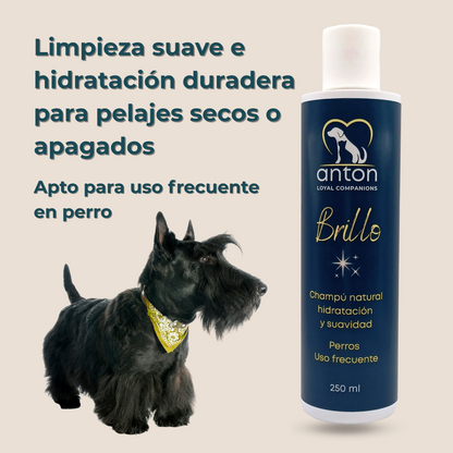 Champú Natural Para Perros “brillo” - Pack Ahorro - 3x250 Ml