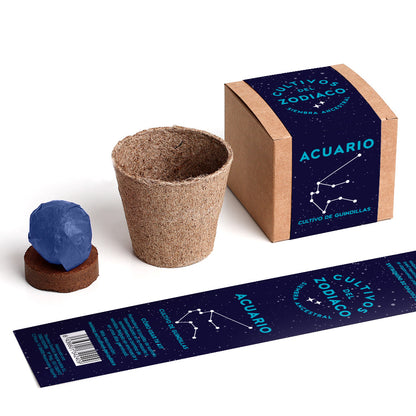 Cultivos Del Zodiaco – Acuario | Kit De Cultivo Con Semillas De Guindillas_1