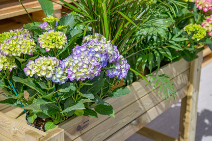 Mesa De Cultivo De Madera 79x56x80cm 95l El Sotillo Autoclave-madelea
