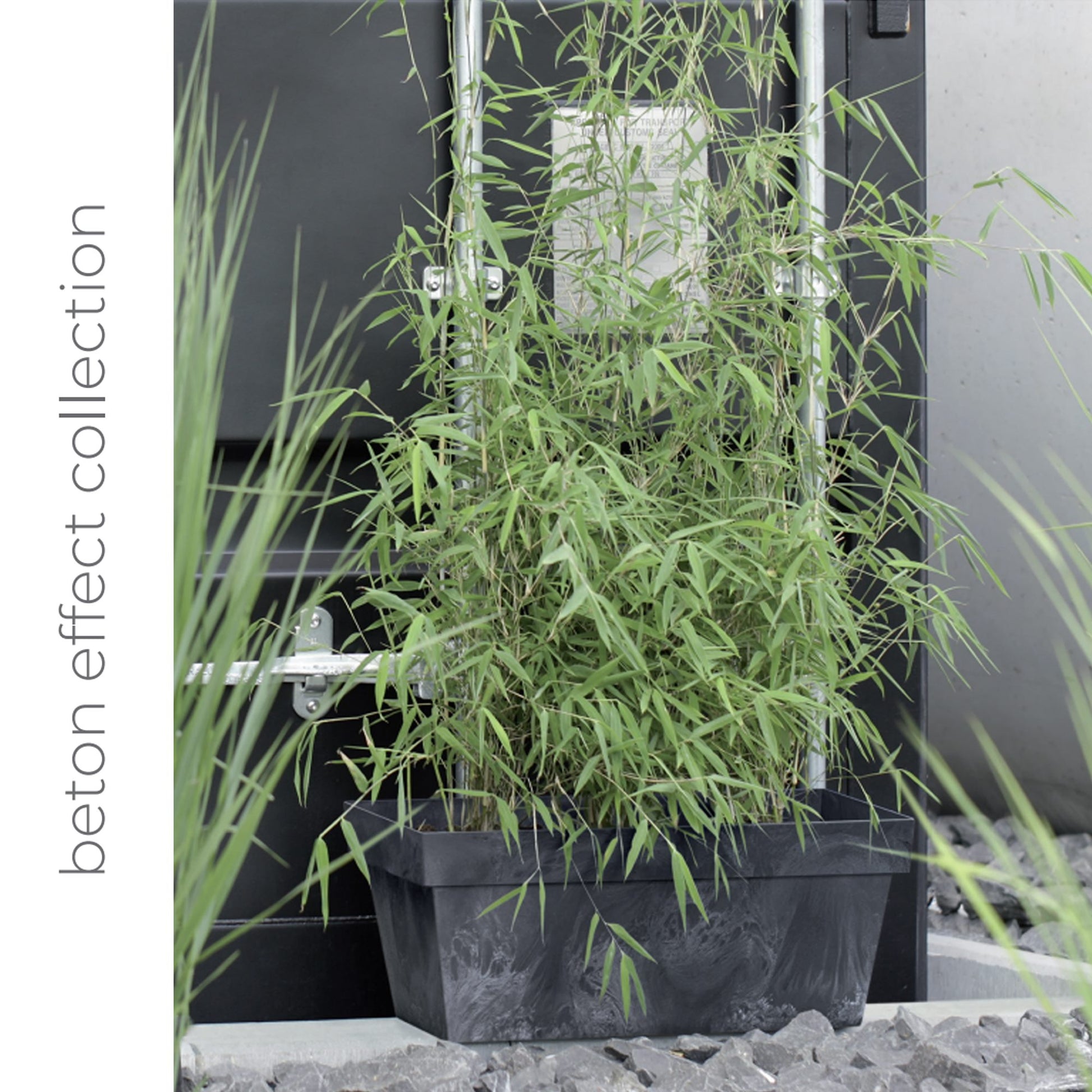 Maceta Cube Beton Effect 2,2l., Dimensiones (mm) 170x170x150, Color Antracita_1