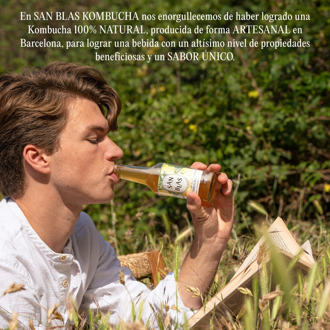 Kombucha Ecologica Artesana | Pack 12 Botellas X 250 Ml | Sin Pasteurizar | Original + Limón Y Jengibre_3
