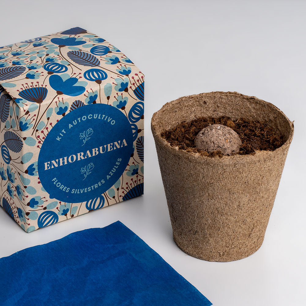 Díselo Con Flores Enhorabuena | Kit Cultivo Flores Silvestres Azules (lino Azul, Nomeolvides Y Flor Celeste)_2