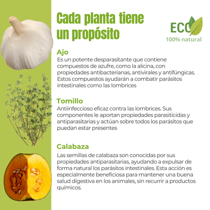 Suplemento natural para perros y gatos – Fórmula Protección Antiparasitaria ECO 100 g