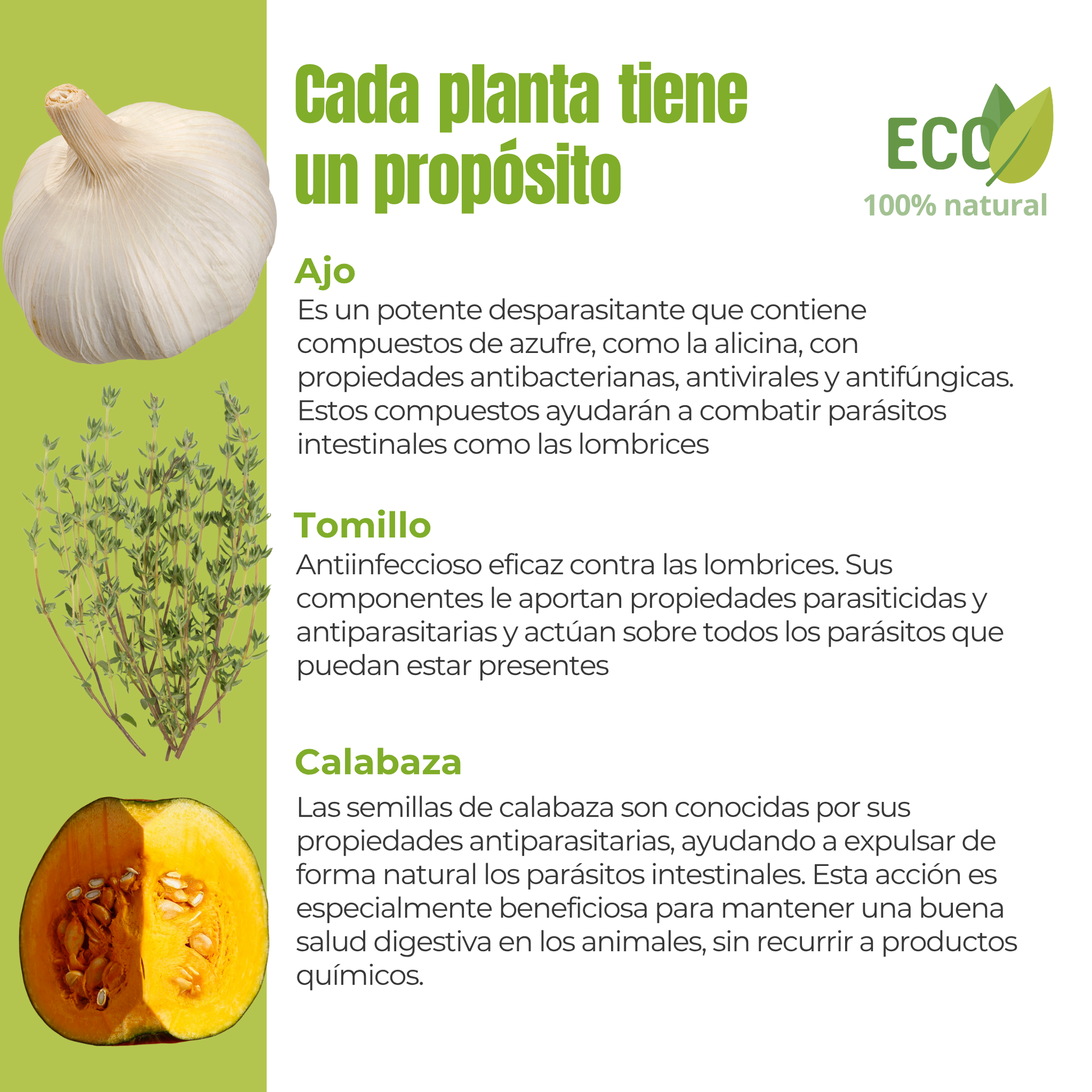 Suplemento natural para perros y gatos – Protección interna frente a parásitos intestinales ECO 100 g_2