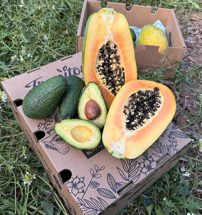 Caja 4kg Mix Aguacate Hass Y Papaya Tropitop_3