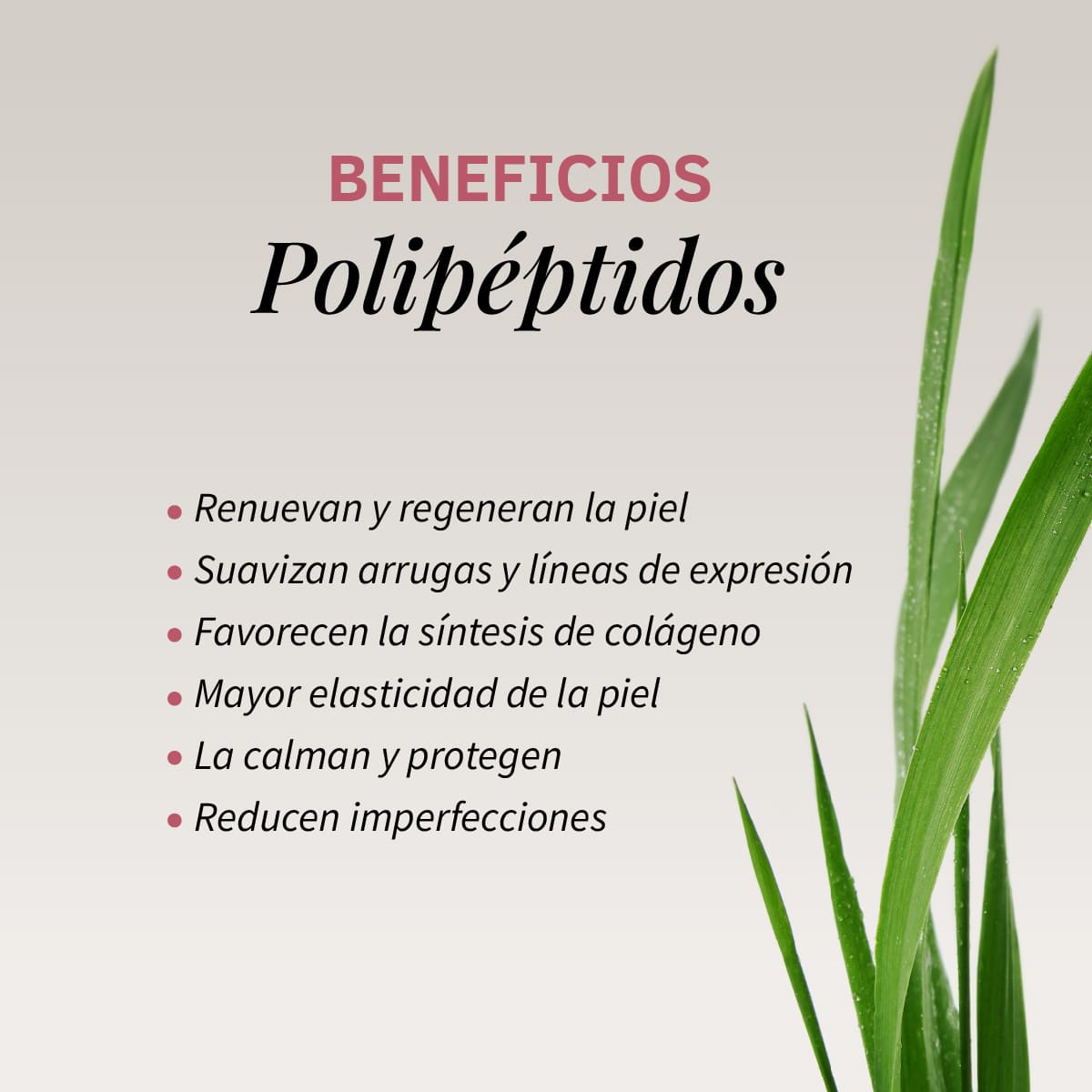 Crema Facial Tensor Effect Labnatur 50 ml | Efecto Lifting | Firmeza, Elasticidad y Luminosidad | Vegano_1