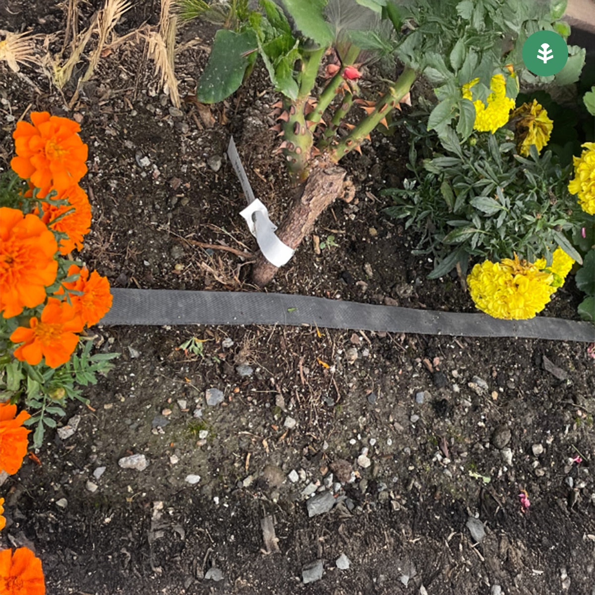 Tubería de Riego por Exudación en Rollo Garden Planeta Huerto 100 m