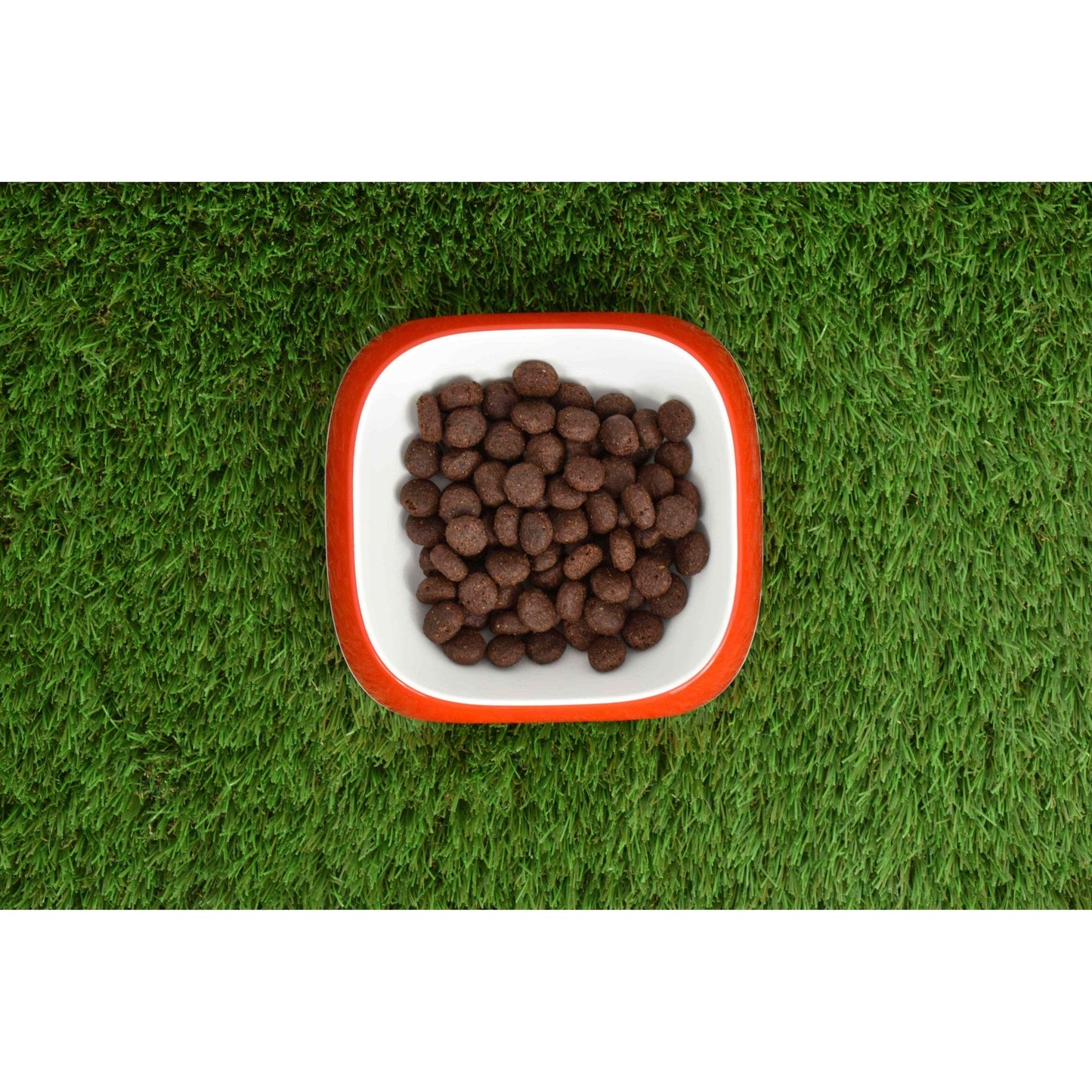 Pienso Natural Grain Free Superpremium Salmón 12 kg Planeta Huerto