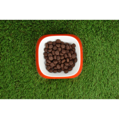 Pienso Natural Grain Free Superpremium Salmón 12 kg Planeta Huerto