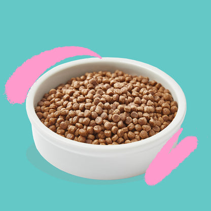 Pienso para gatos Kitten Pato y Pollo frescos Edgard & Cooper 2 Kg