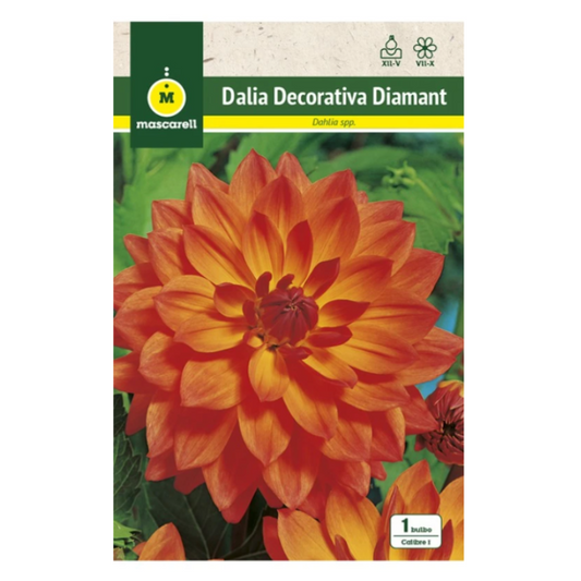 Bulbo Dalia Diamant Naranja