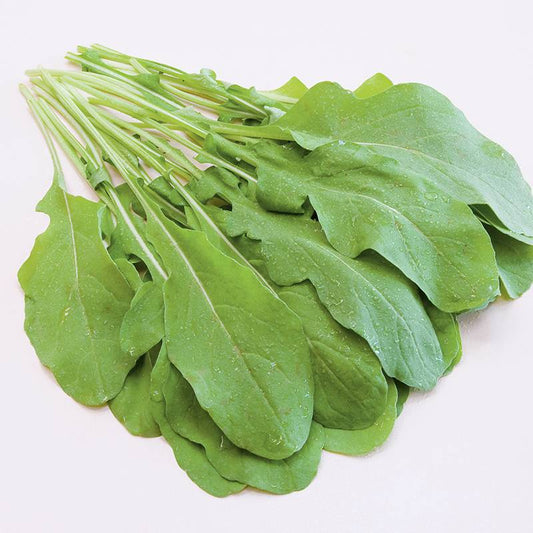 Semillas Rúcula Ruca Ecológicas_0