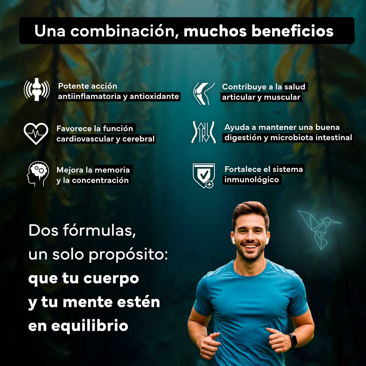 Cúrcuma C3 Reduct + Omega 3 Vegano Omegatex. Sevens Nutrition. Movilidad, Energía Y Equilibrio Desde Dentro_2