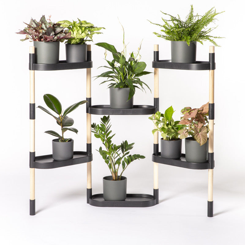 Soporte Modular Citysens De 6 Bandejas Negro, Con 3 Plantas De Regalo_0