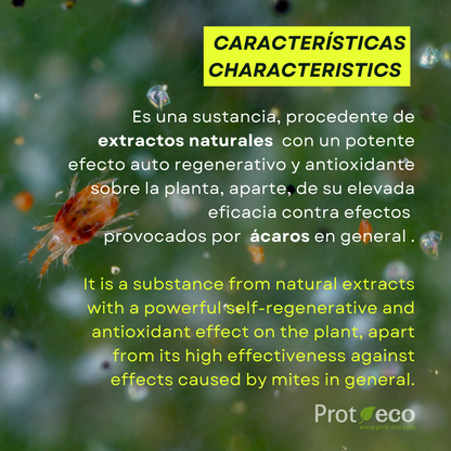 Tratamiento ecológico contra araña roja en plantas Cinnaprot Plus Prot-Eco (100 ml)+pipeta dosificadora 5ml gratis_4