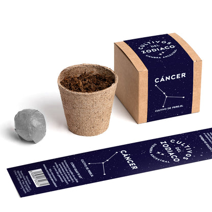 Cultivos del Zodiaco – Cáncer, Kit de Cultivo con Semillas de Perejil - Resetea_2