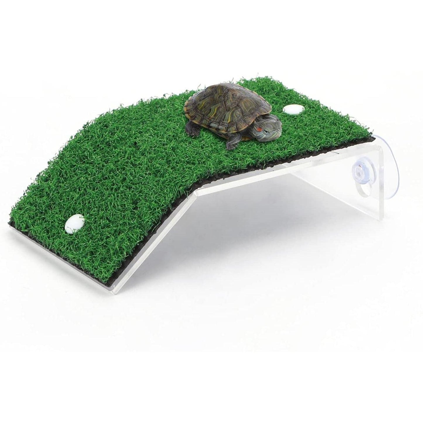 Rampa para tortugas 14 x 8 cm Nobleza