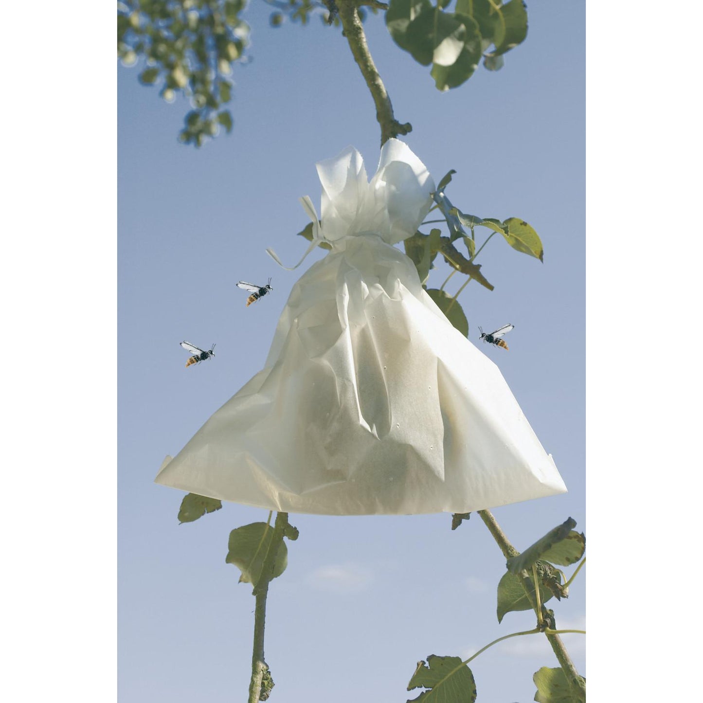 Fundas protectoras para frutos Fruitsac Nortene 50 ud 17 x 22 cm.