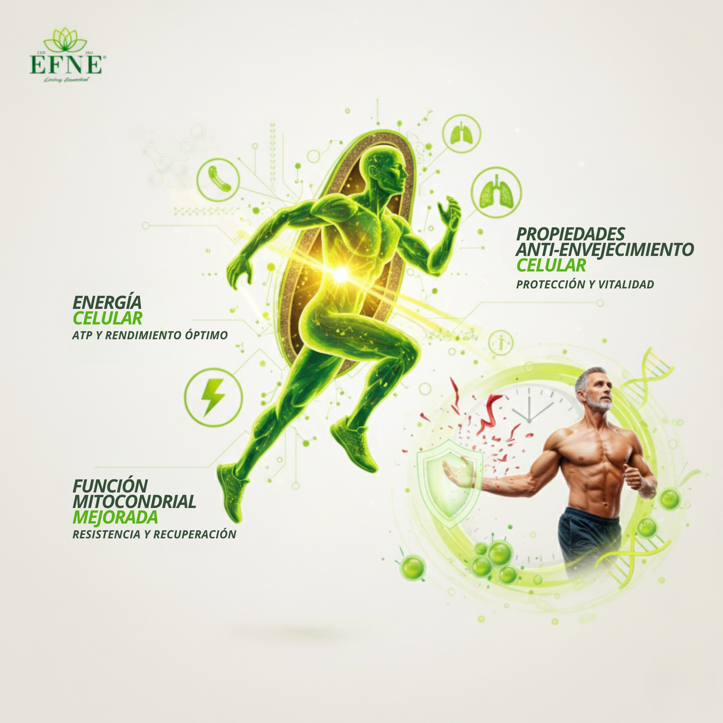 Efne Nad Con Trans-resveratrol: El Activador De Longevidad Para Quienes Viven Al Máximo Después De Los 40_3
