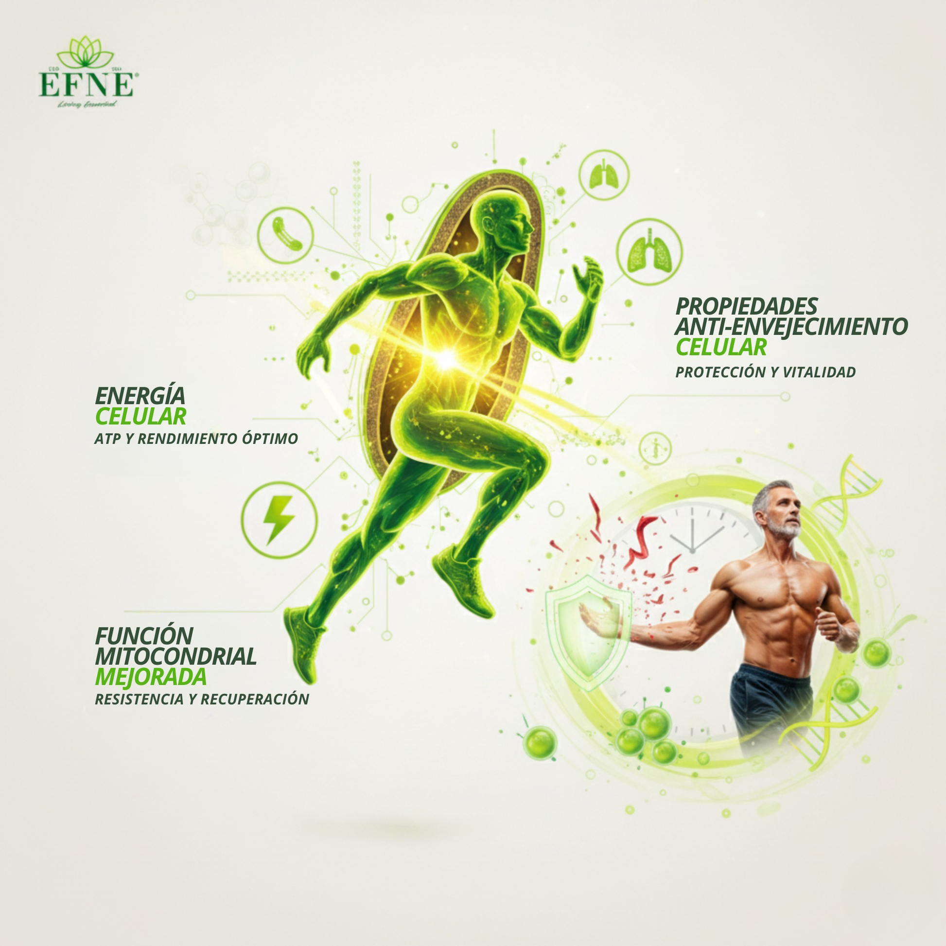 Efne Nad Con Trans-resveratrol: El Activador De Longevidad Para Quienes Viven Al Máximo Después De Los 40_3