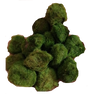 Lote 10 Bolas Marimo Moss Cladophora 2-3 Cm