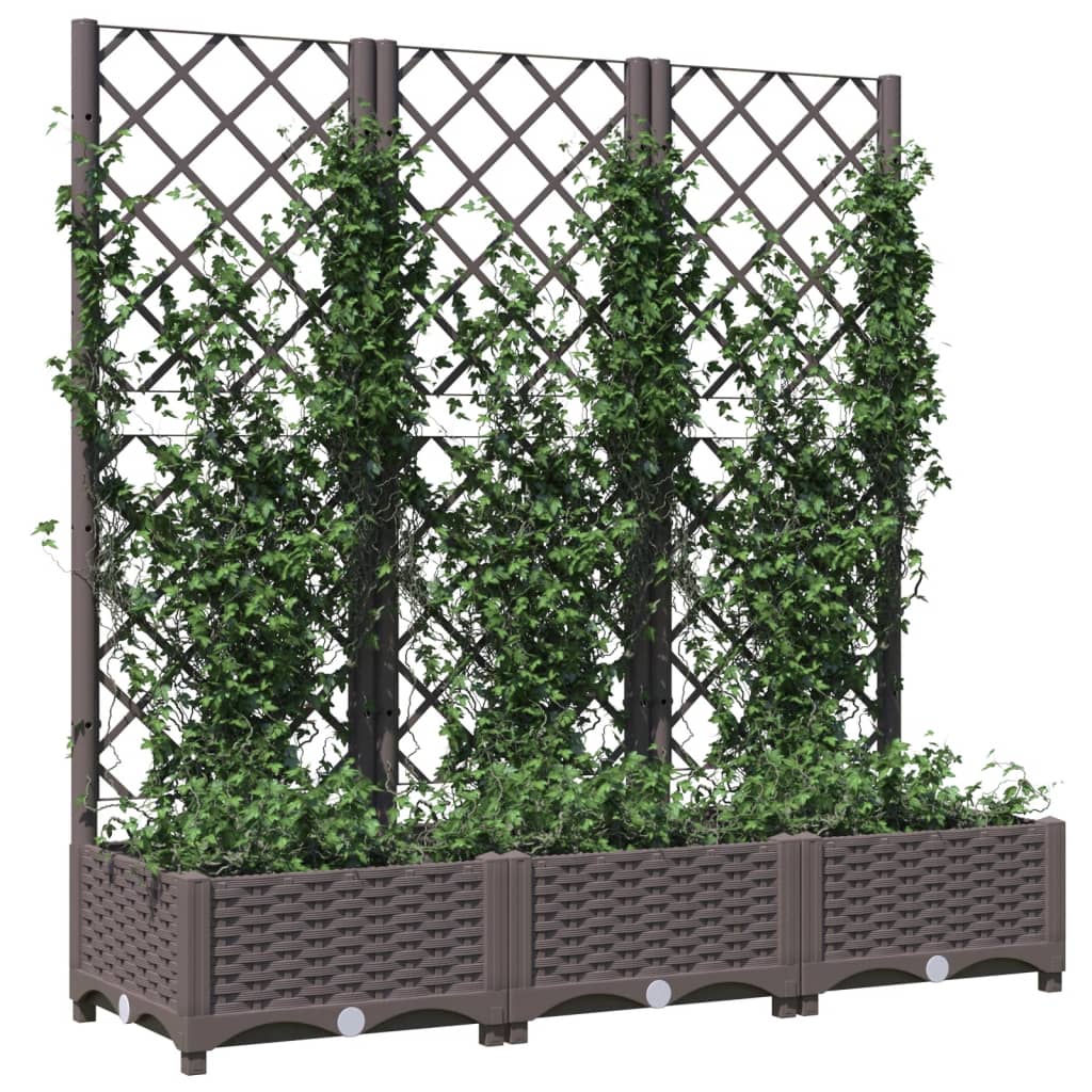 Jardinera De Jardín Con Enrejado Marrón 120x40x121,5 Cm Pp_2