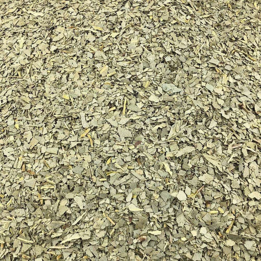 Hojas De Eucalipto Orgánico A Granel 1 Kg_0