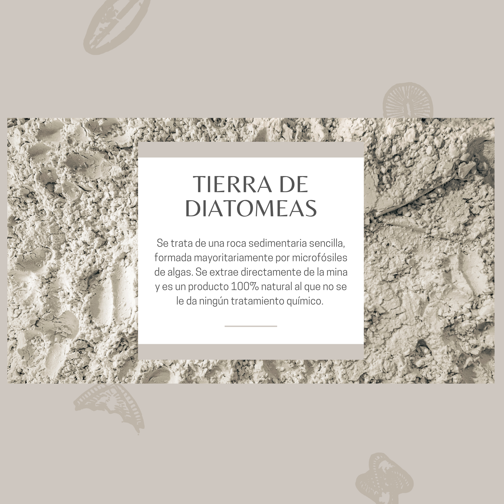 Tierra De Diatomeas Para Ayudar A Mantener El Gallinero Libre De Parásitos - Producto Natural - 5kg_1