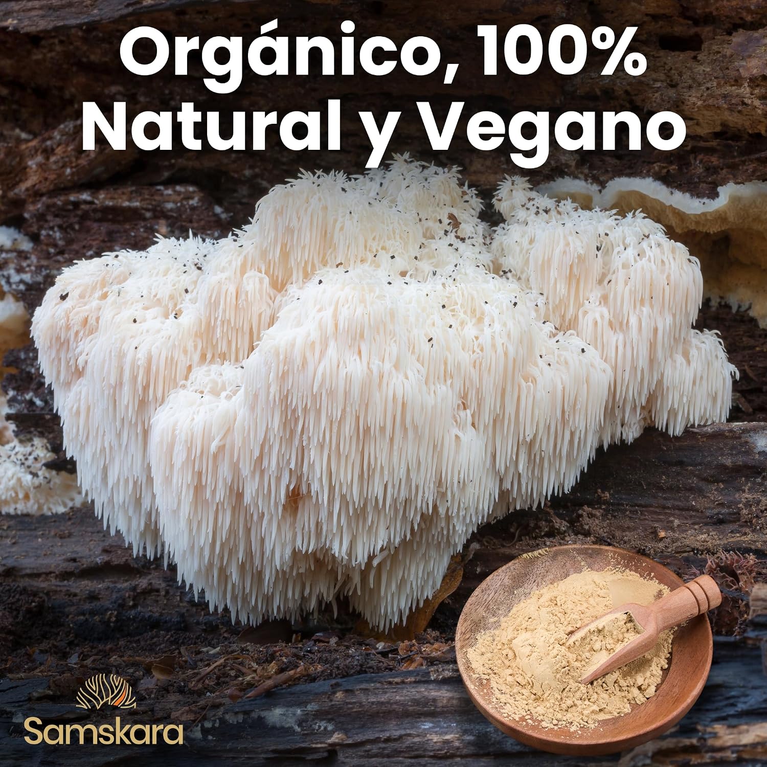 Complejo De 7 Setas Medicinales Bio - 100g | Complejo De Hongos Ecológico Vegano Para Café Y Smoothies, 100% Natural_3