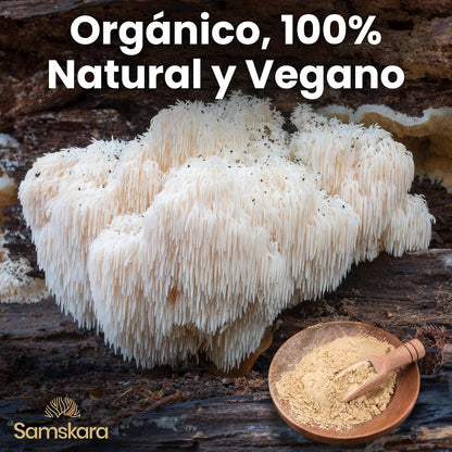 Complejo De 7 Setas Medicinales Bio - 100g | Complejo De Hongos Ecológico Vegano Para Café Y Smoothies, 100% Natural_3