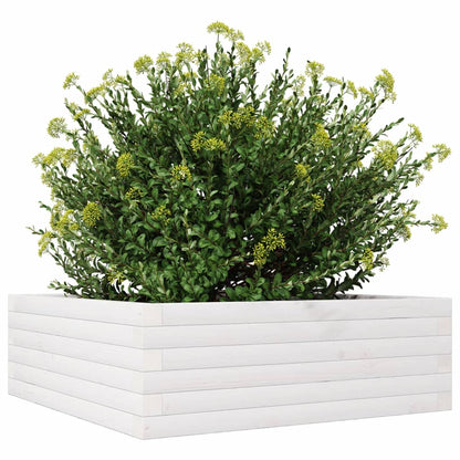 Jardinera De Madera Maciza De Pino Blanca 70x70x23 Cm_3