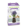 Kit de cultivo interior Lavanda