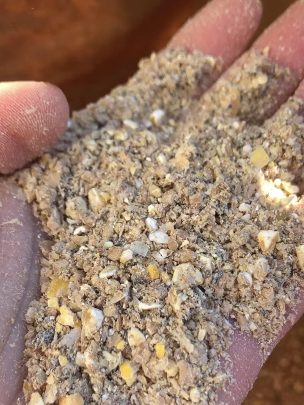 Pienso Gallinas Ponedoras ECOLÓGICO 20 kg – Cáscara Dura, Natural y Equilibrado para Producción de Huevos_3