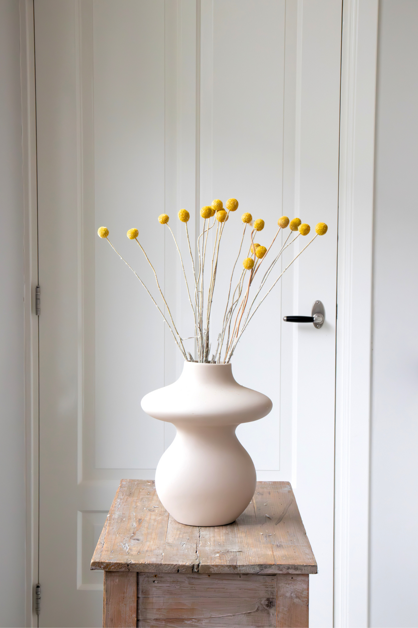 Flores Secas - Ramo 'craspedia Natural Yellow'