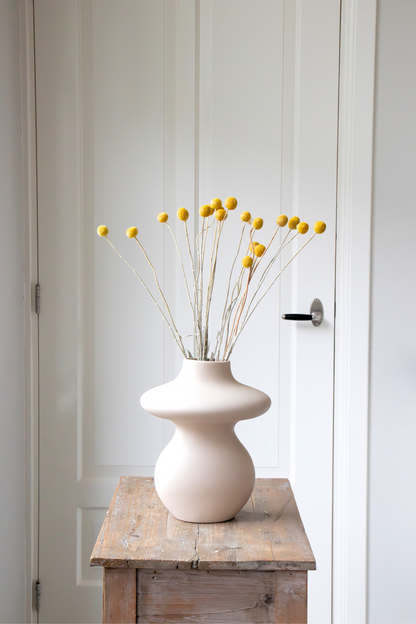 Flores Secas - Ramo 'craspedia Natural Yellow'