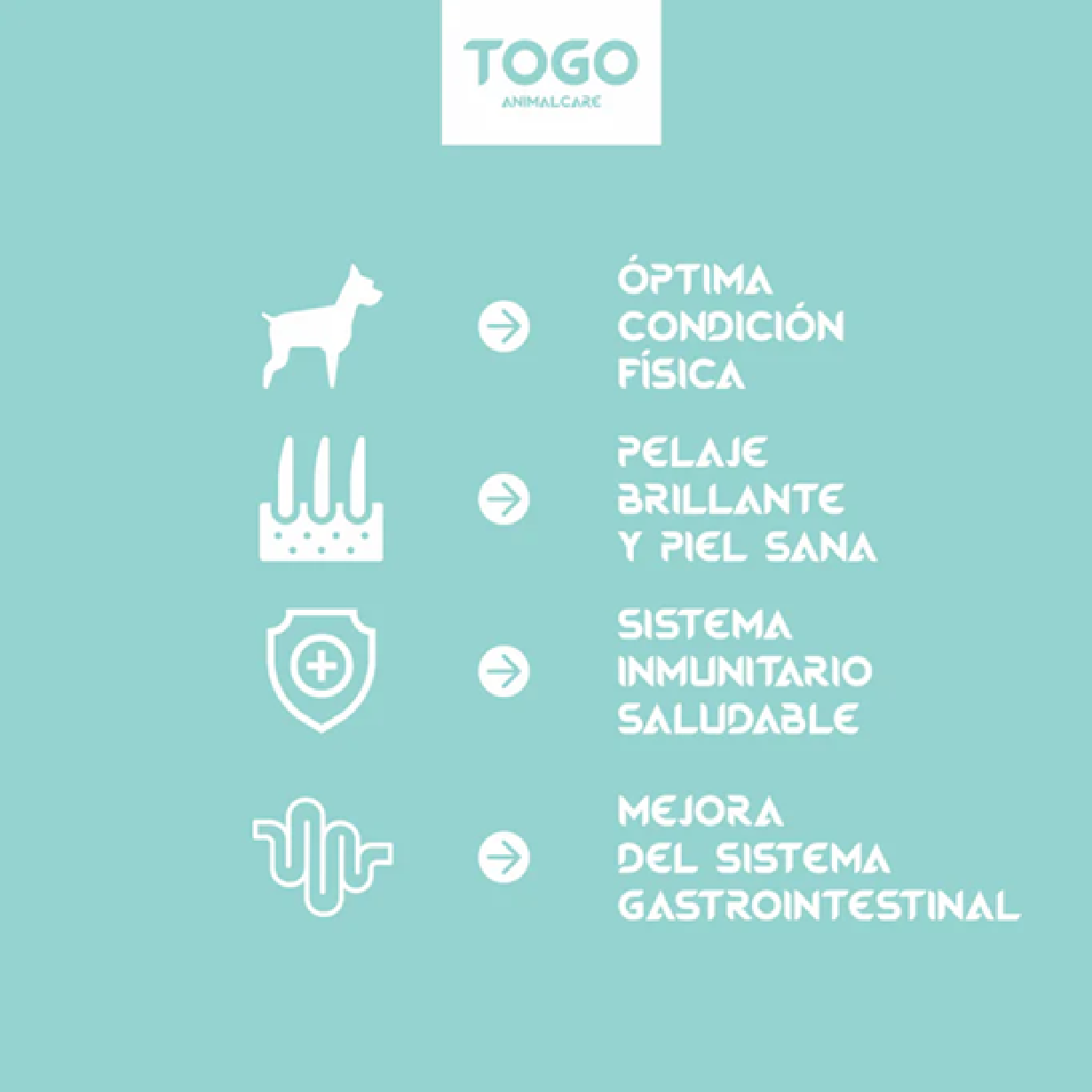 Pienso Bioprotein | Hipoalergénico Y Sin Cereales 12Kg_3