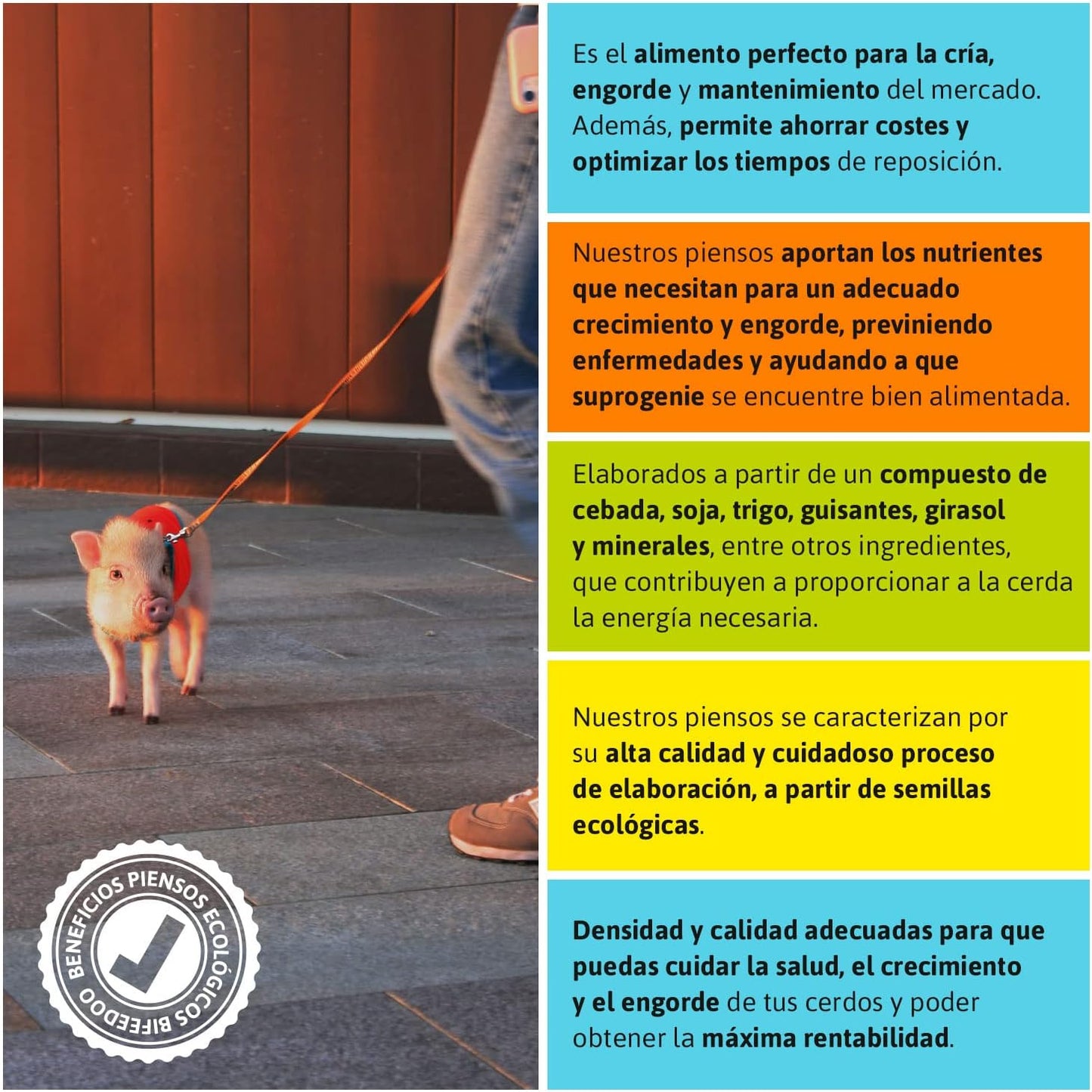Pienso ECOLÓGICO para Cerdos Mascota 20 kg – Comida Natural y Saludable para Cerdos Nutrición Equilibrada_2
