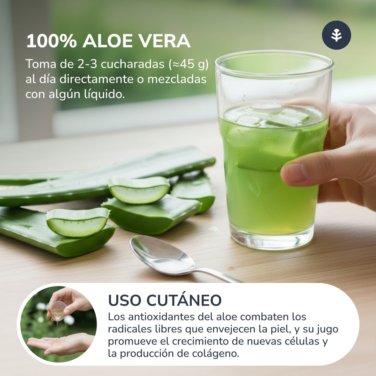 Aloe Vera Jugo Planeta Huerto 1 L