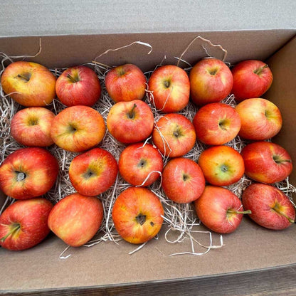 Caja Manzanas Rojas Royal Gala 4,5 KG_1
