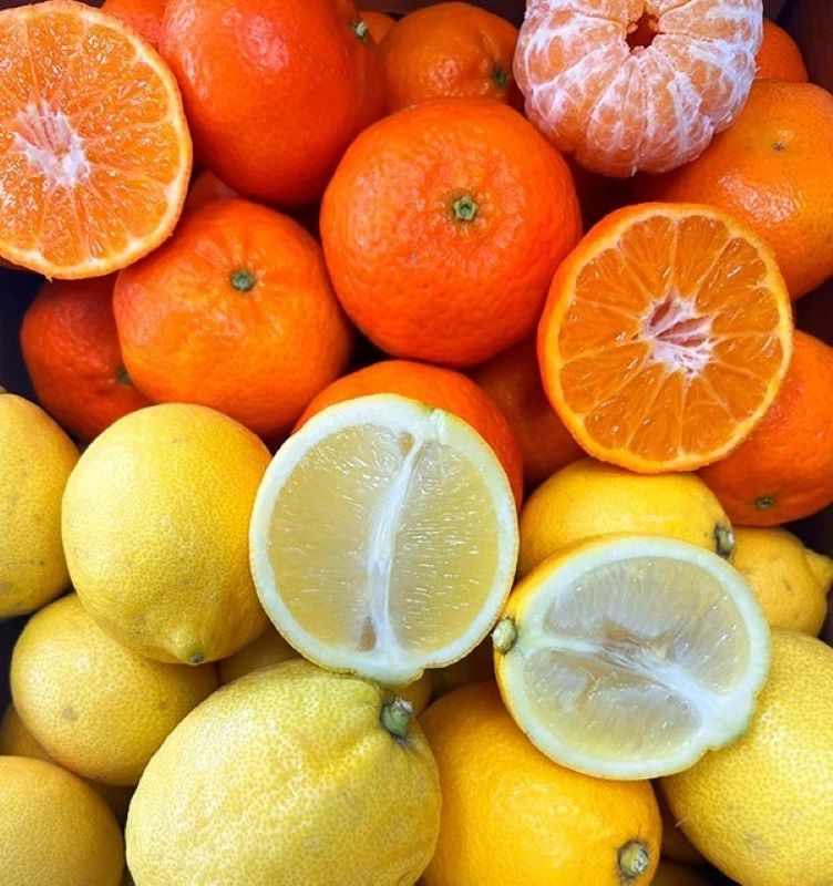 Mix Mandarinas Clementinas Y Limones Verna Valencianos Tropitop 4kg_1