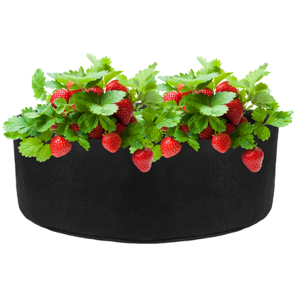 Bolsa De Cultivo Y Crecimiento De Plantas 55x19cm 5 Unidades_2