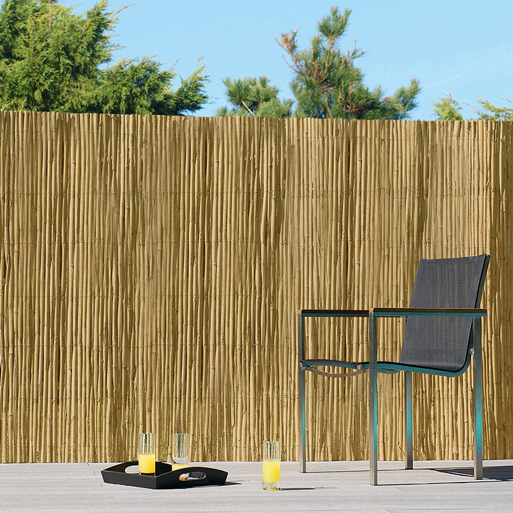 Cañizo De Bambú Pelado - 1x5 M_0