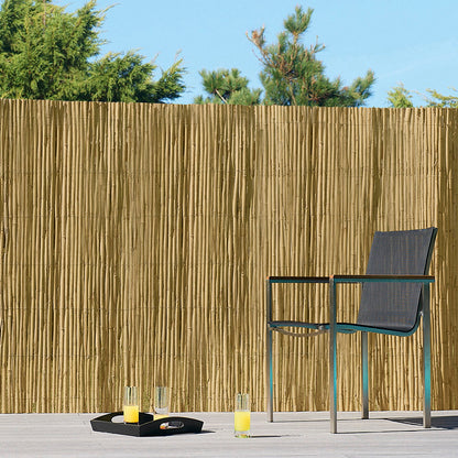 Cañizo De Bambú Pelado - 1x5 M_0